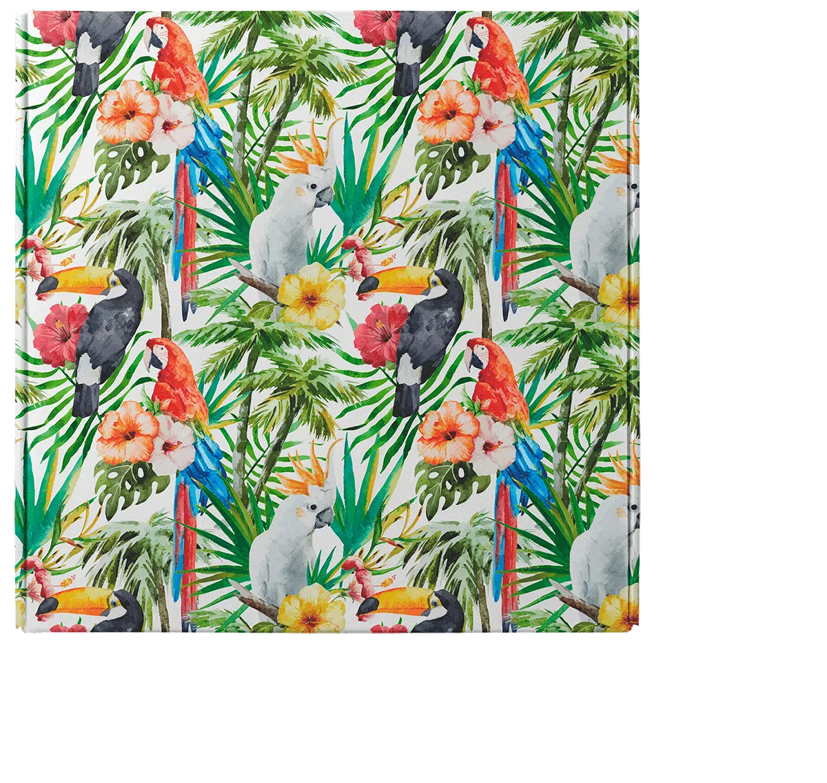 Green custom mailer box with trees and parrots